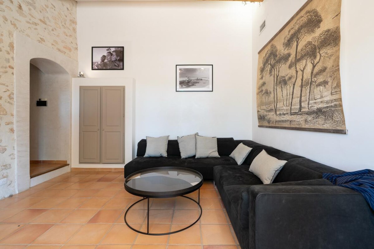 Provençal farmhouse & padel court swimming pool AC