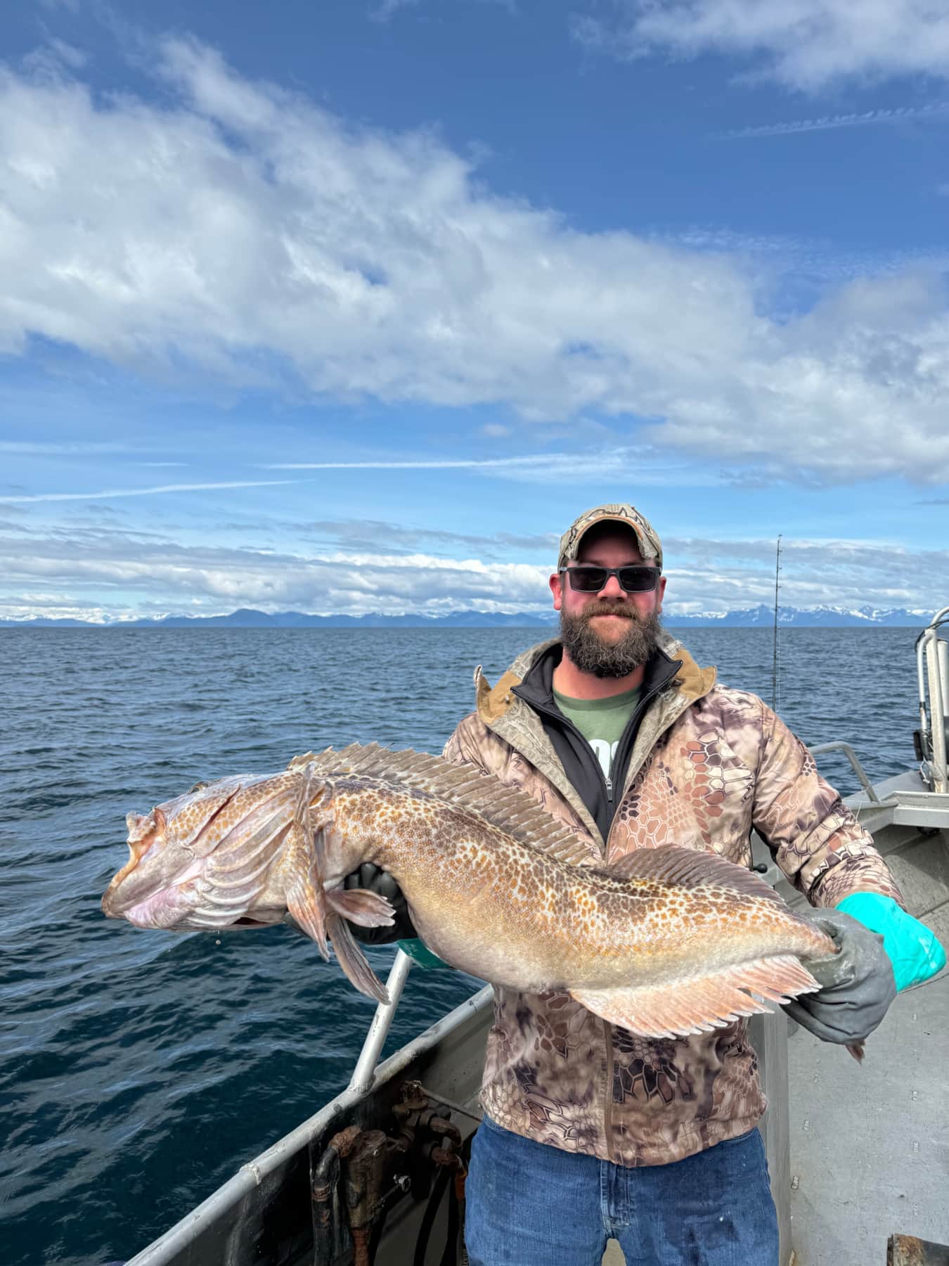 Justins lingcod
