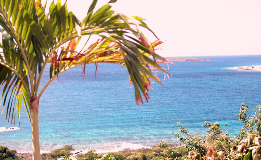 Gardens and Sea everywhere on your way down!