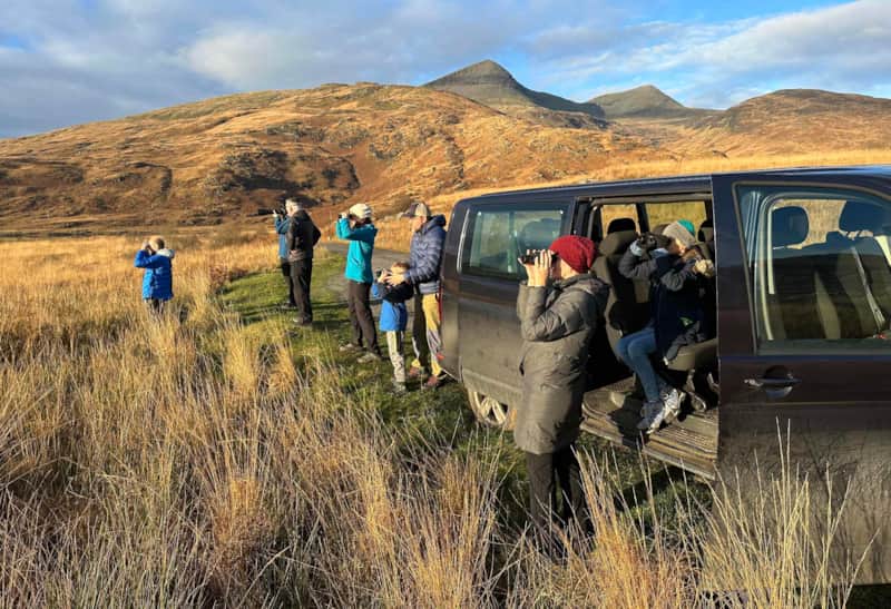 Guests watching wildlife with binoculars beside a Nature Scotland vehicle on Mull