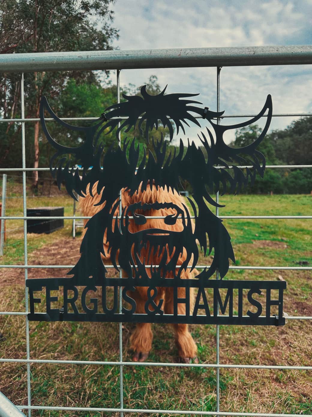 Hunter Valley Hideaway - Paddock