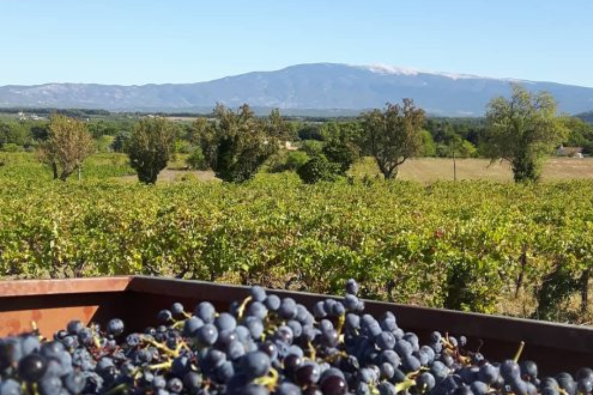 Villa de luxe avec vue sur le Luberon en Provence