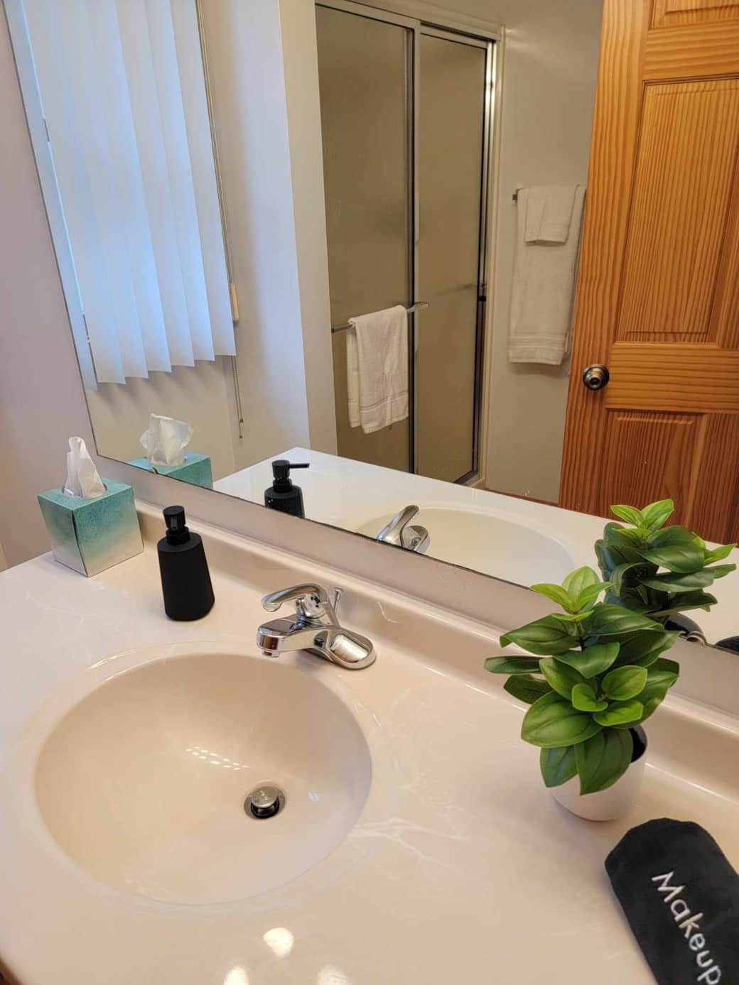 Lower-Level Bathroom