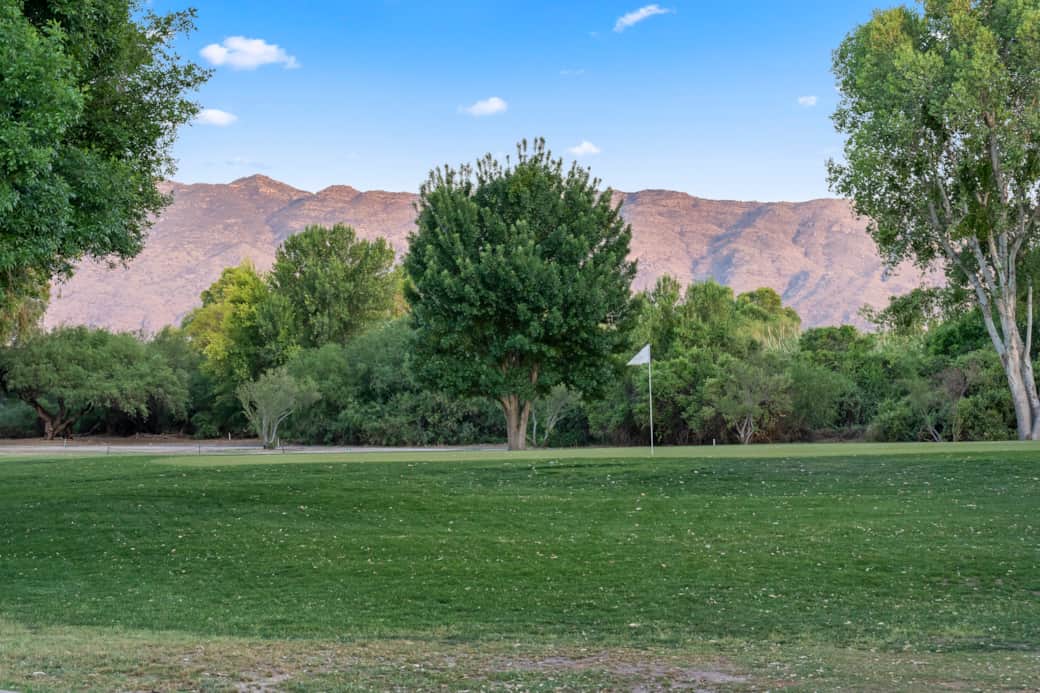 Outside our back patio views