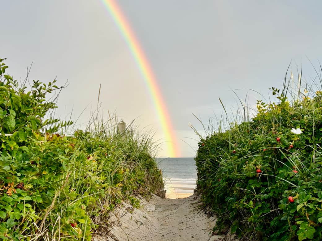 Beach Path Beach Path