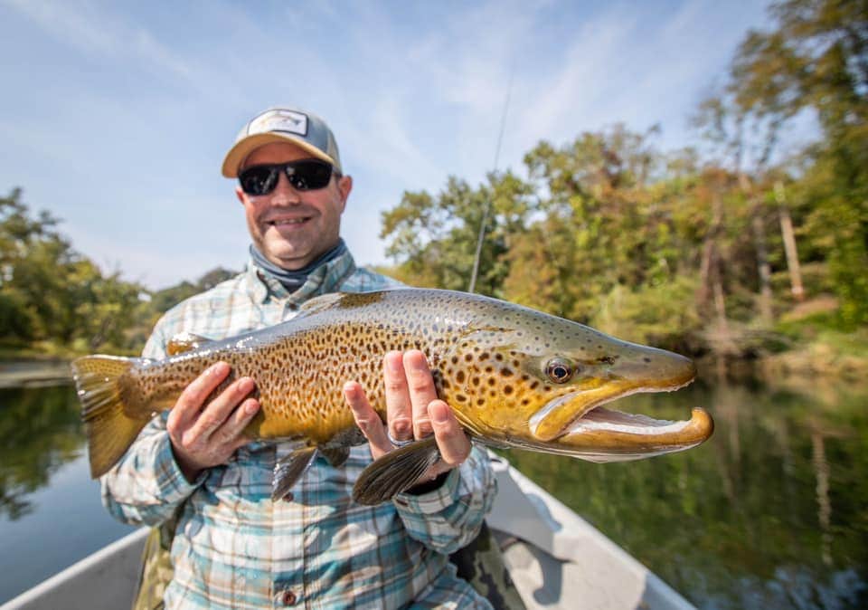 Big Brown