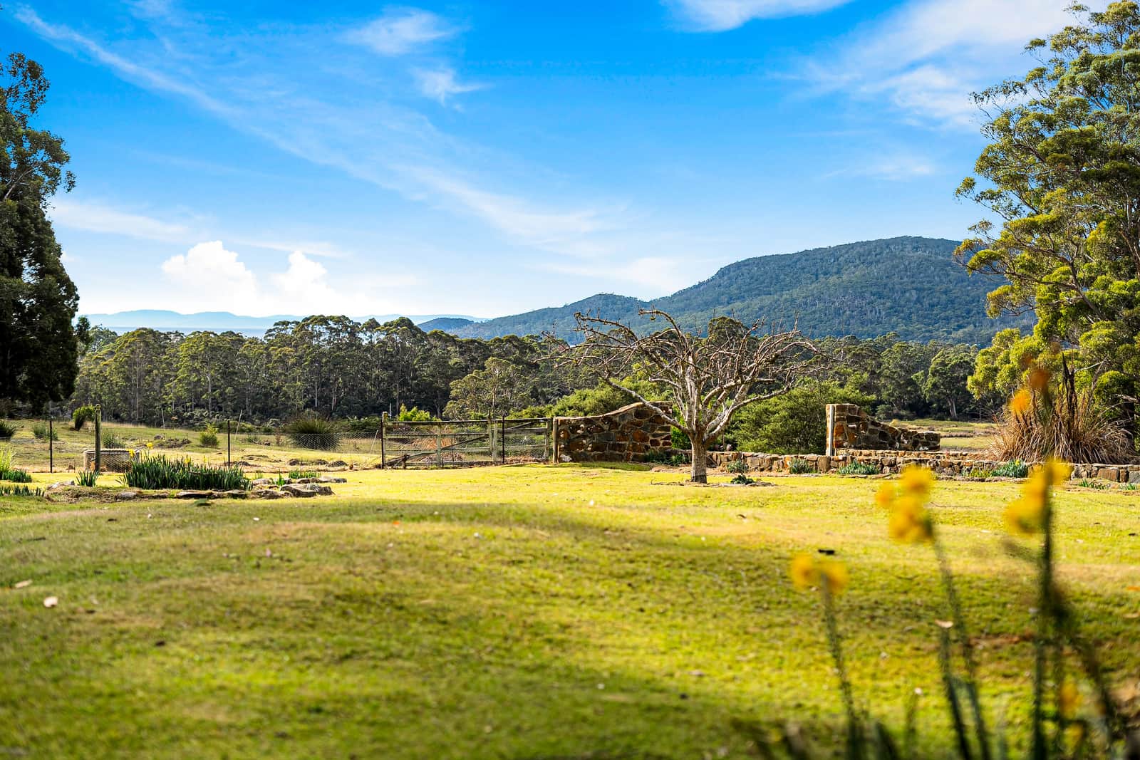 Mavista Cottage ~perfect romantic escape in Adventure Bay