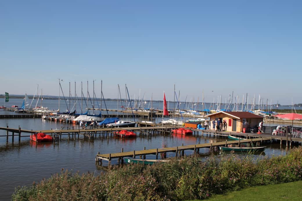 13 Dümmer