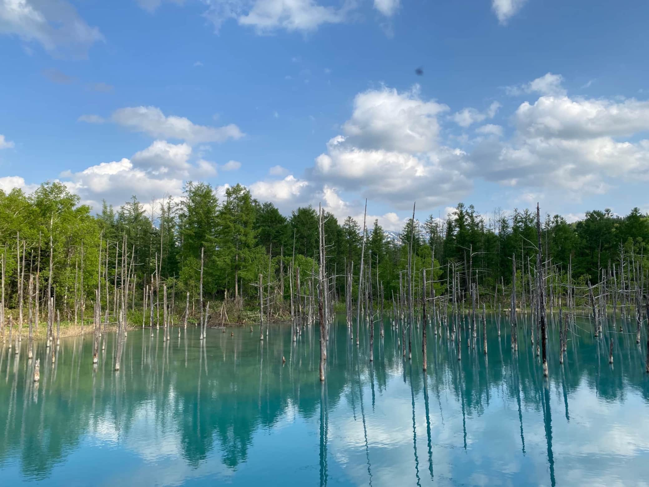 Blue pond
