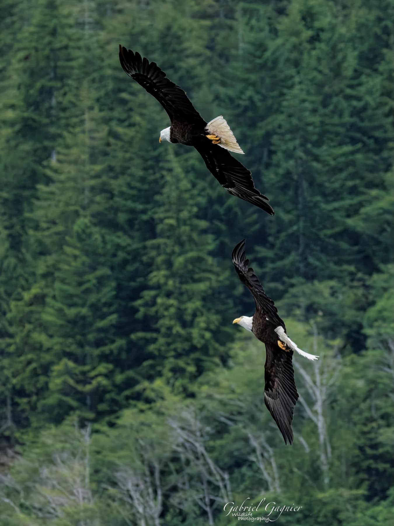 https://l.icdbcdn.com/oh/08d85706-08cd-4148-98ee-f8138cf173df.jpg?w=2080-39