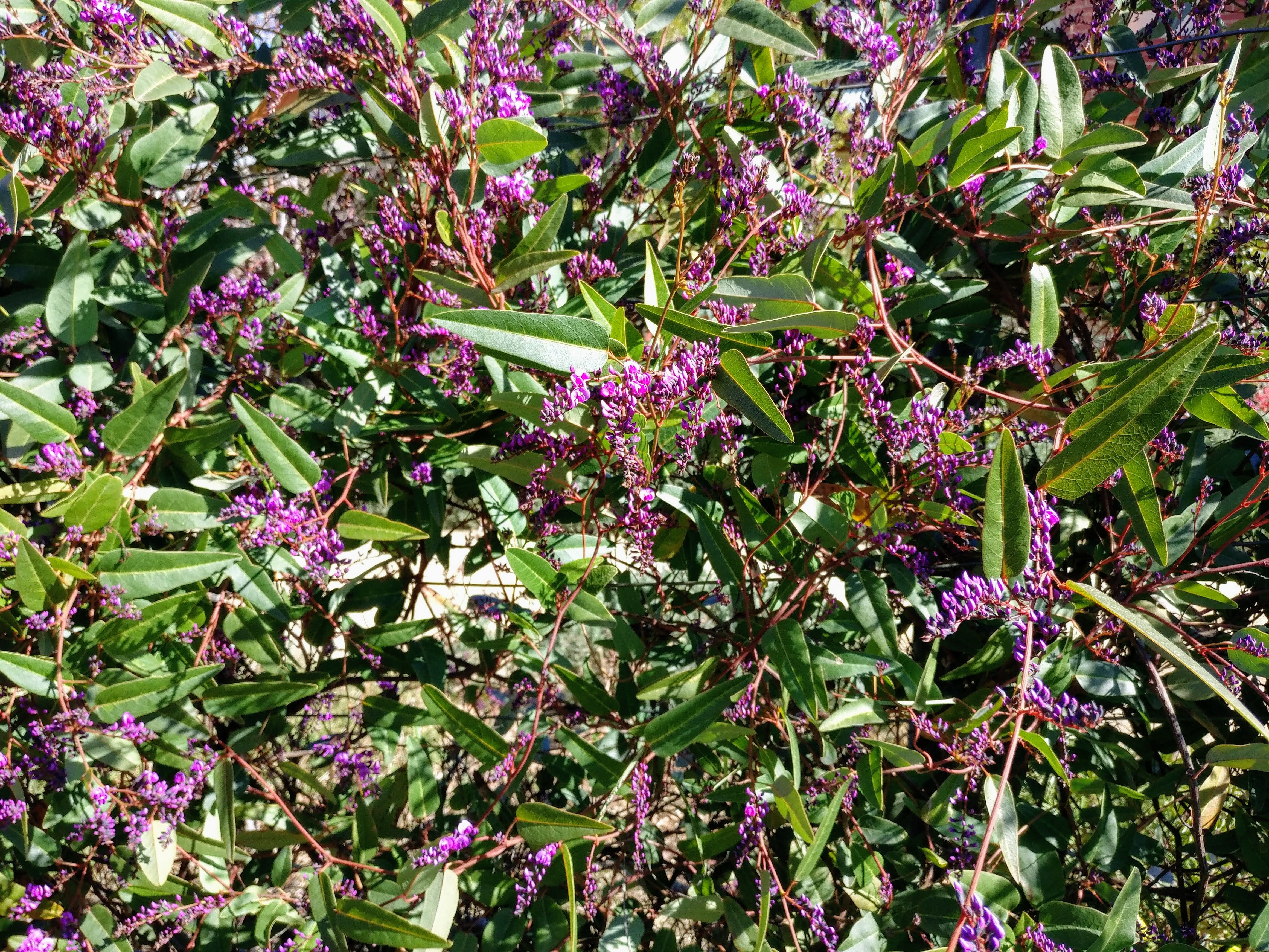 Stunning garden all year