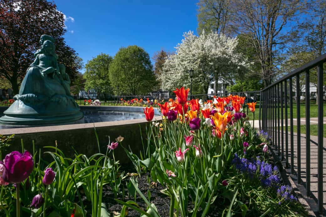 "Wynken, Blynken & Nod" in its springtime splendor