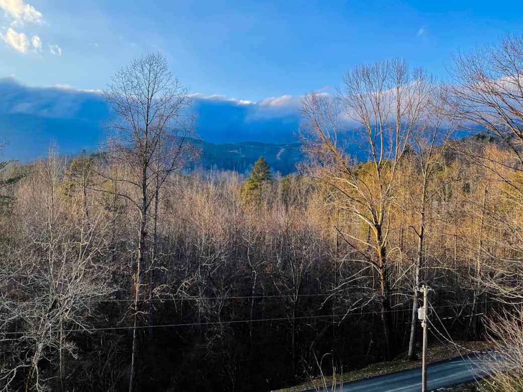 Mountain Views