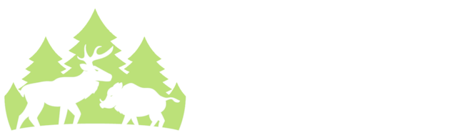 Loiterpin Holiday Lets