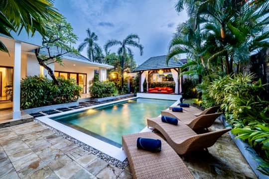 Poolside loungers surrounded by palms and lush tropical greenery.