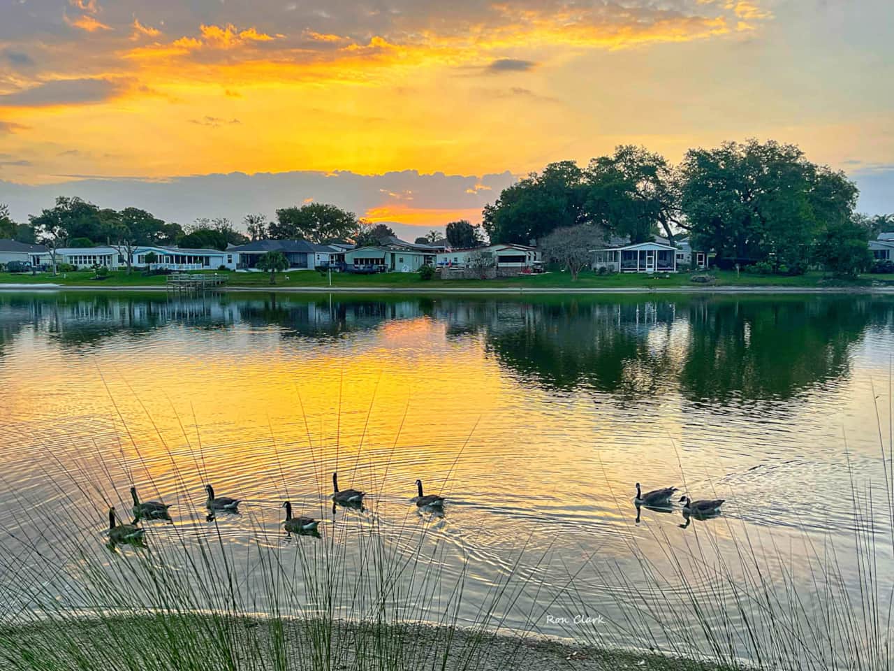 Sunrise Paradise Park