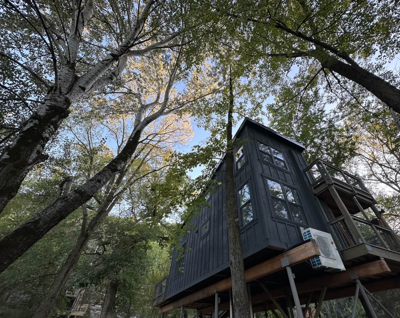 Treehouse 1
