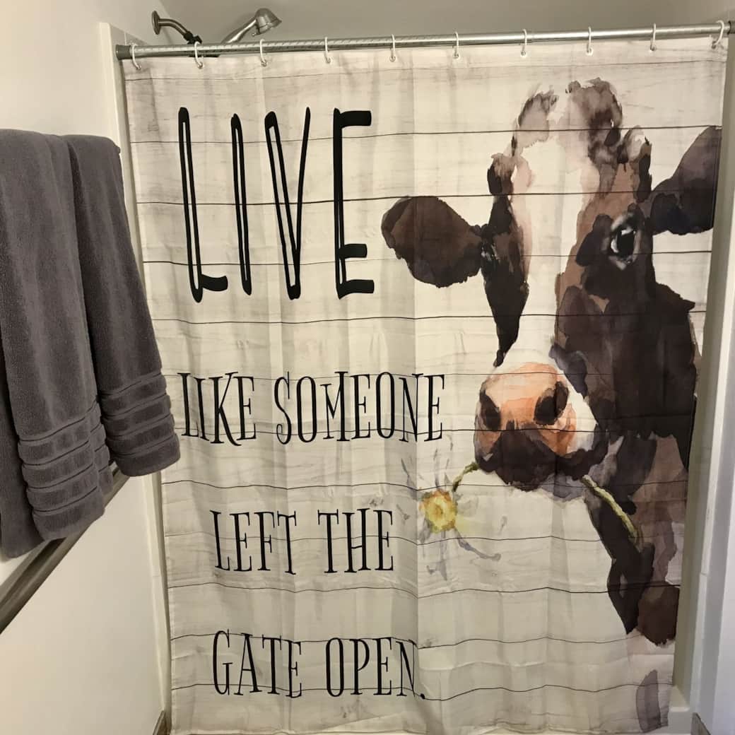 Image Title