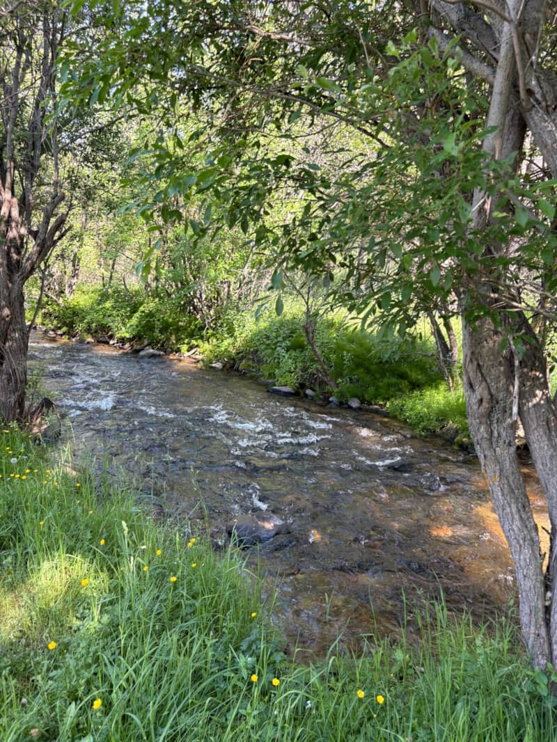 Creek 1 Creek 1