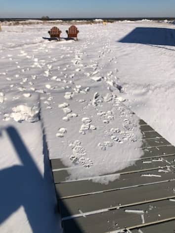 Snow Day 5.jpg