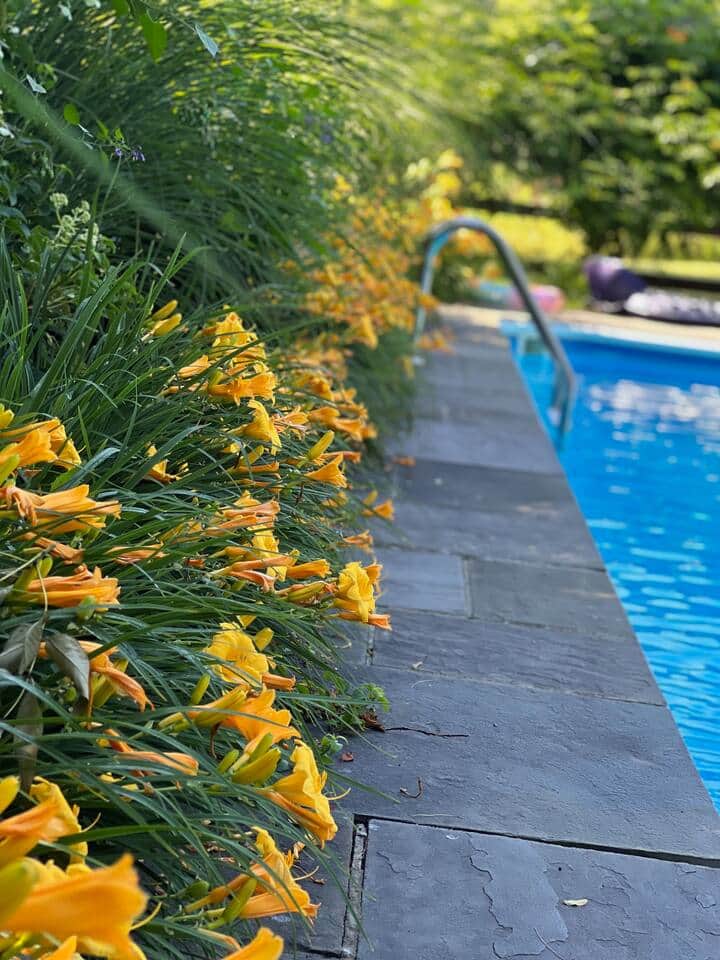pool