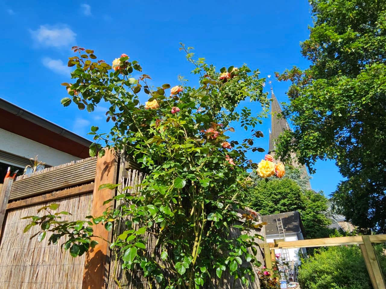 Garten, Terrasse und Spielplatz