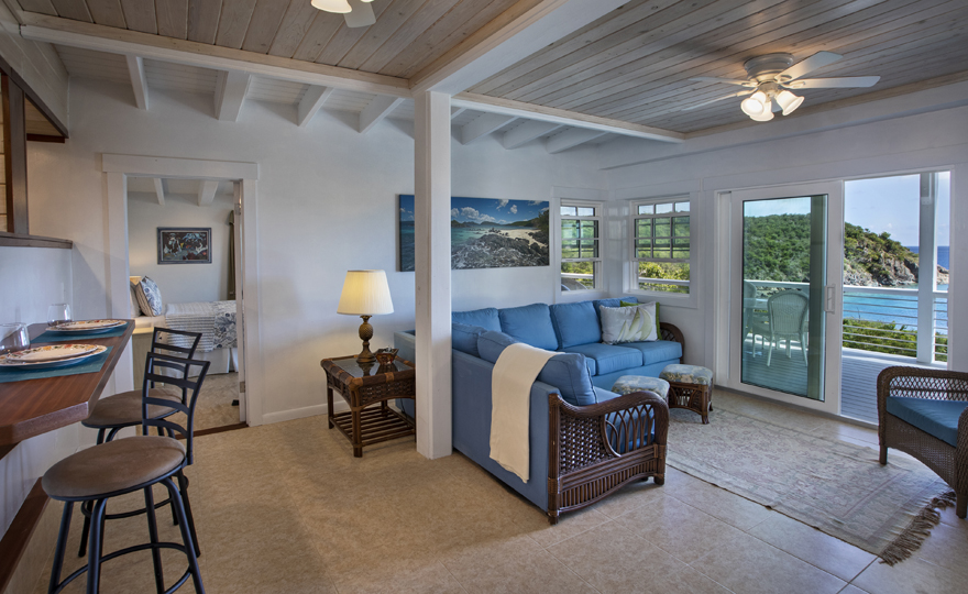 Lower Level Living Room with Satellite TV