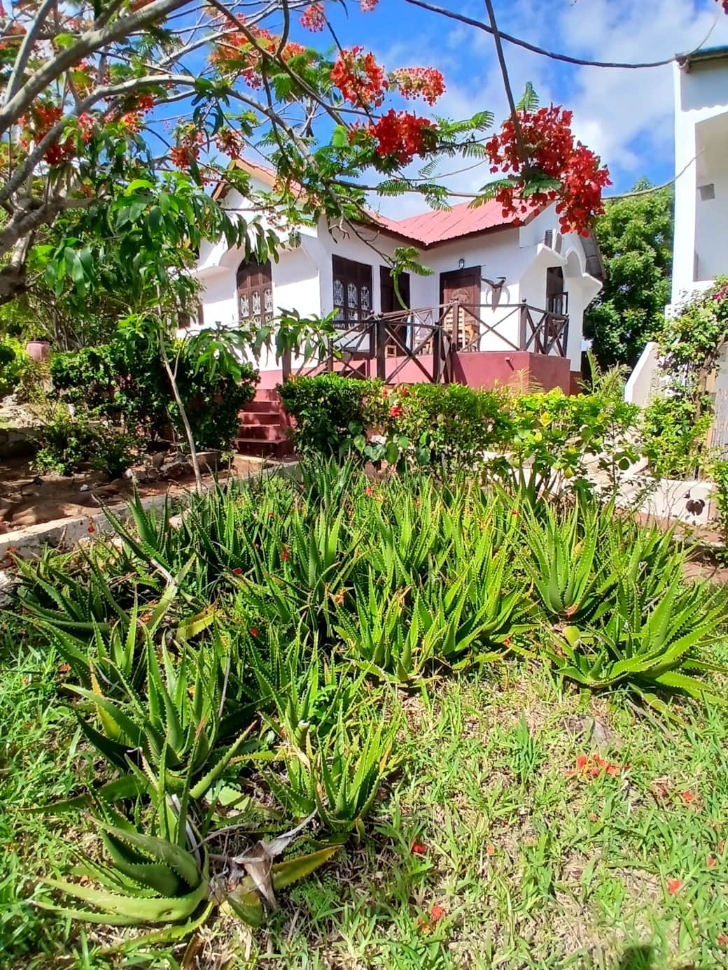 20241222 095454 20241222 095454