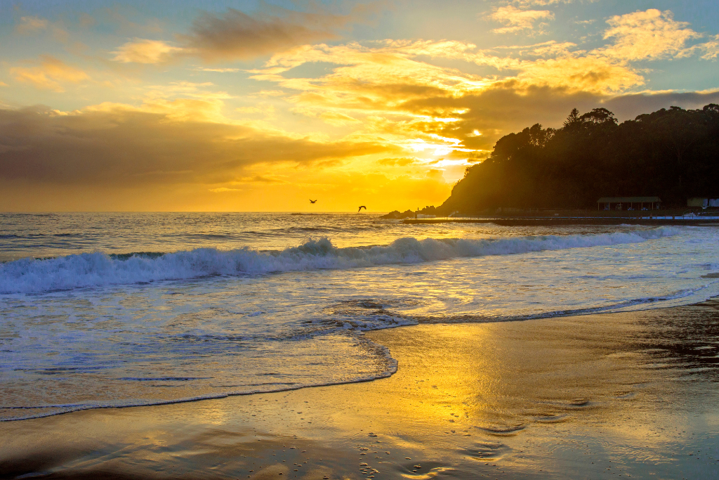 Barefoot to the beach