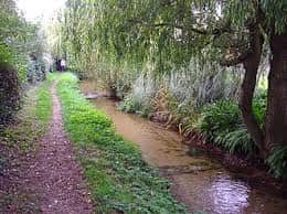 Footpath adjoining woodland garden
