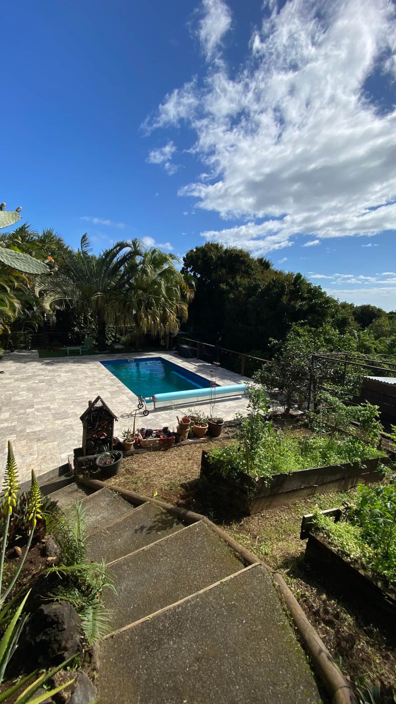 VUE JARDIN PISCINE