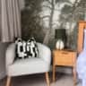 Rental image