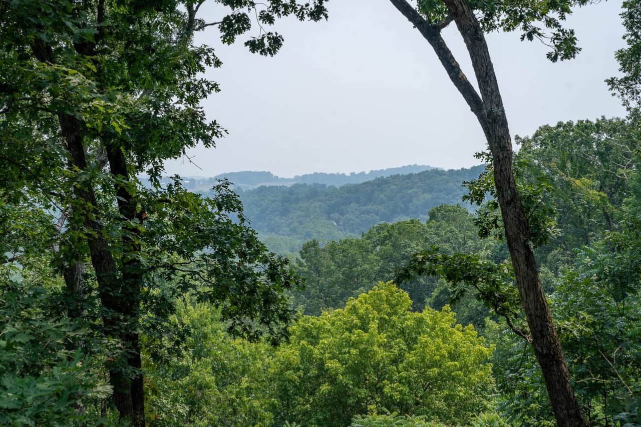 spring views from the deck 