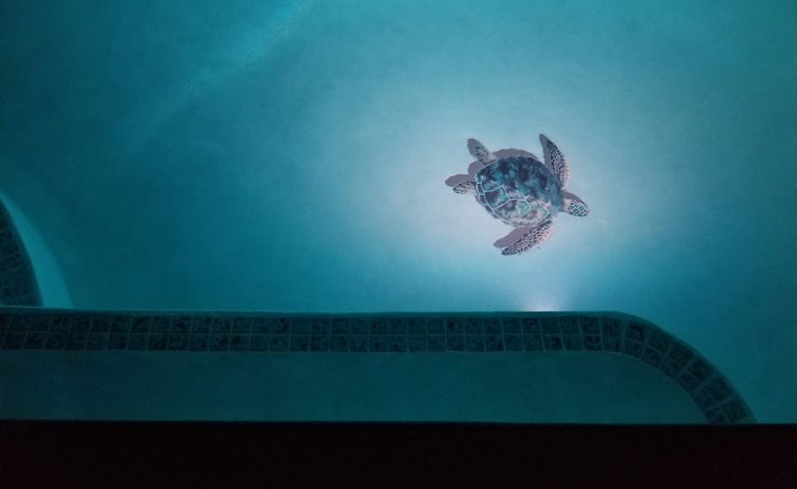 Artistic touches all around the villa