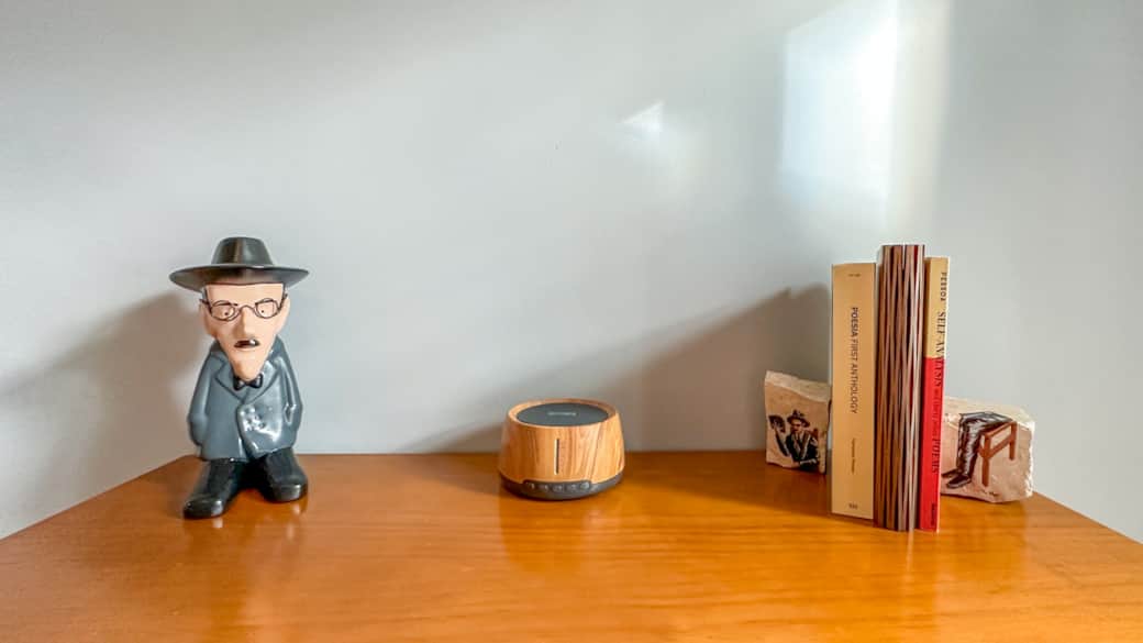 Fernando Pessoa is arguable the most famous Portuguese poet ever. 