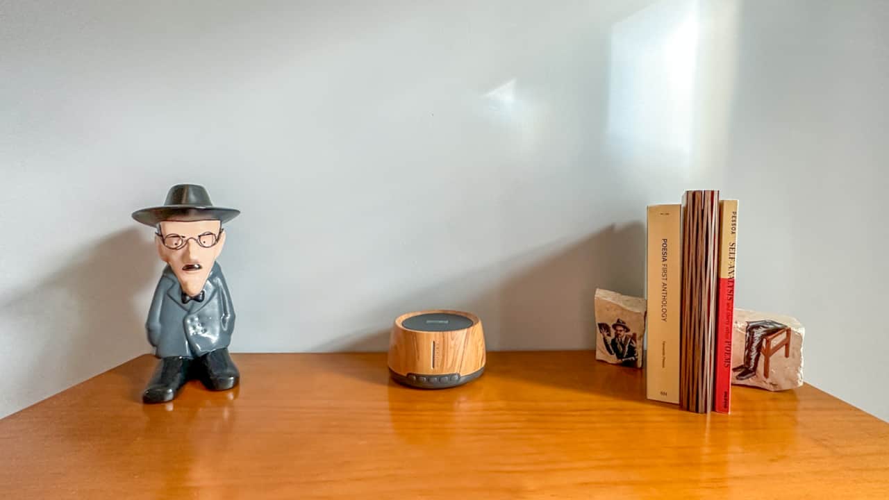 Fernando Pessoa is arguable the most famous Portuguese poet ever. 