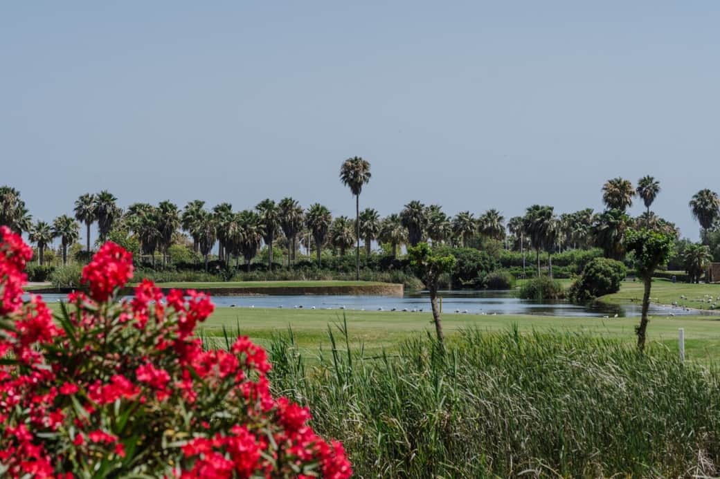 Un entorno lleno de color y vida, perfecto para desconectar y conectar con la belleza natural de Playagranada.