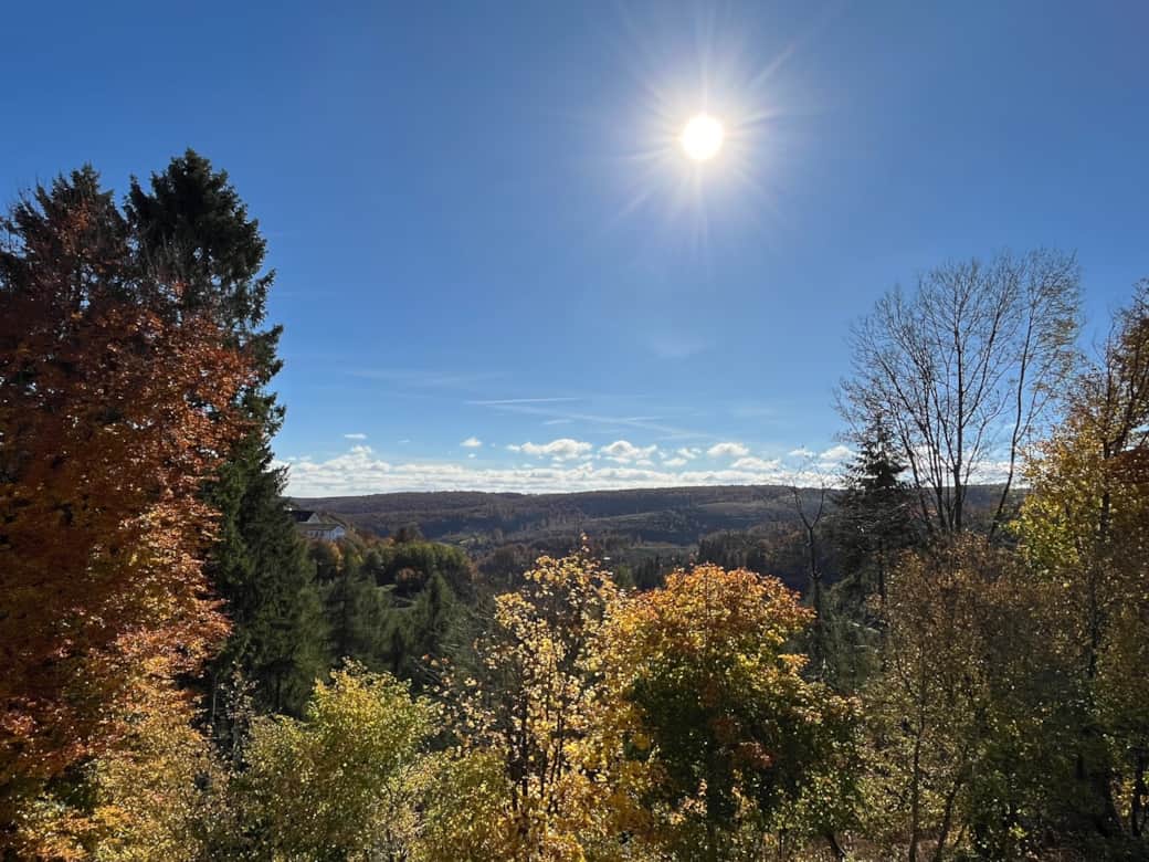 Blick vom Balkon Blick vom Balkon