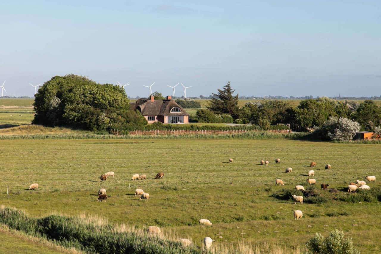 View across the sheep pasture to the house