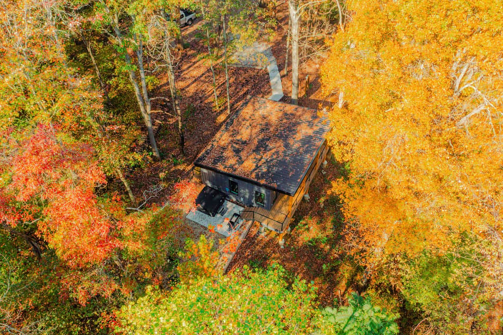 Nest fall drone