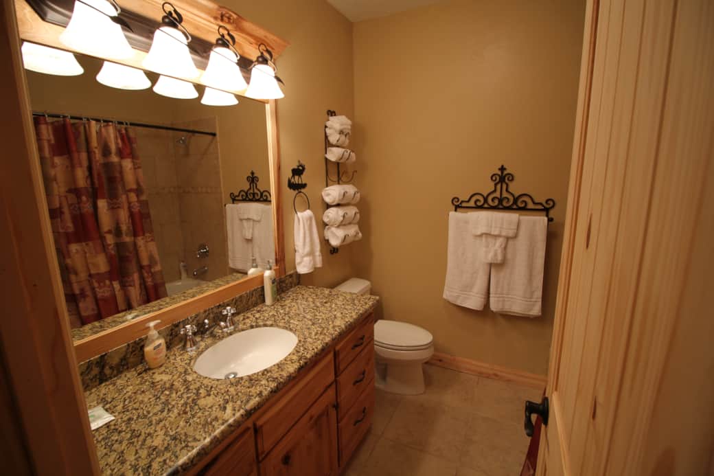 Theater Room Bathroom 2