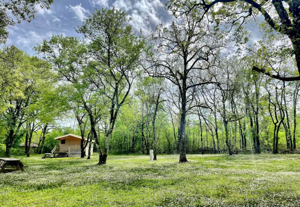 Glamping Lodge fav2