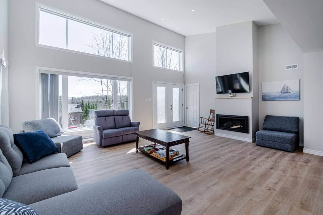 Living room (with sofa-bed and gas fireplace)