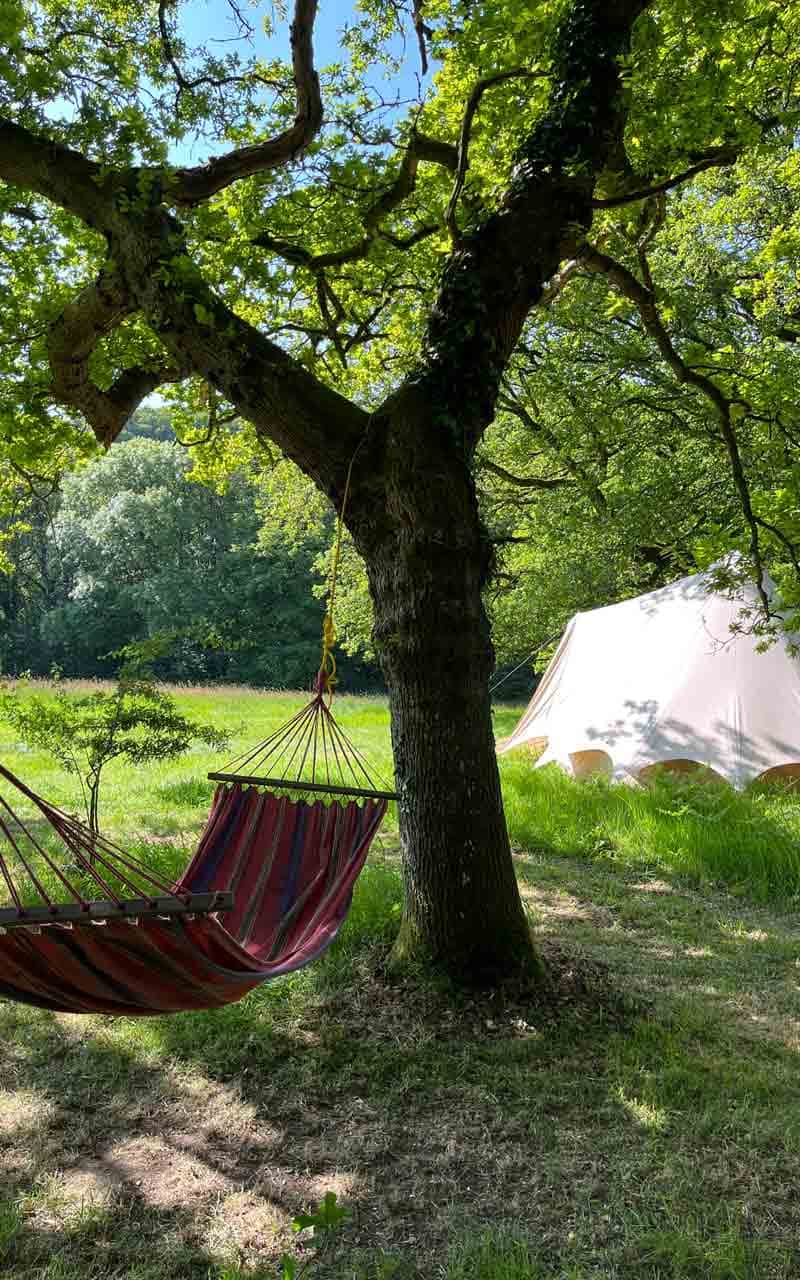Oak Tree Nook Camping