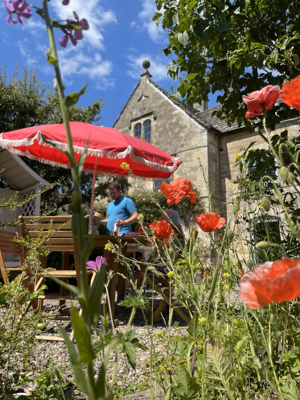 Garden in Summer