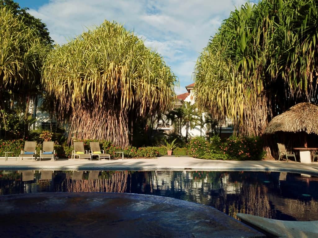 Gm75E%CrSOKpfCYaEbl6xg thumb 1d163 Gm75E%CrSOKpfCYaEbl6xg thumb 1d163