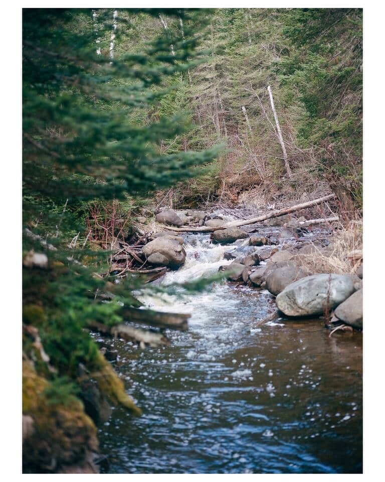 Follow our river trail down to the Devils Track River for a quick dip, some fishing, or just to rest by the water. There are benches placed along the river path for time to rest and reflect 
