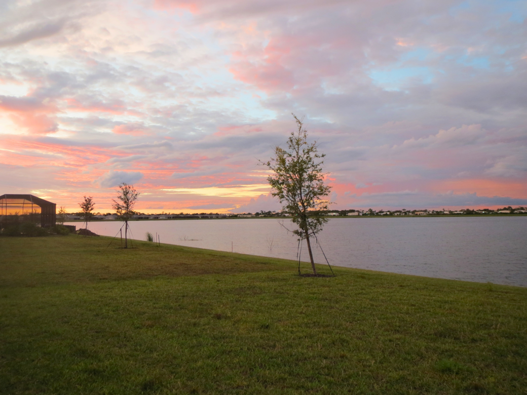 Back Yard Sunset on the Lake