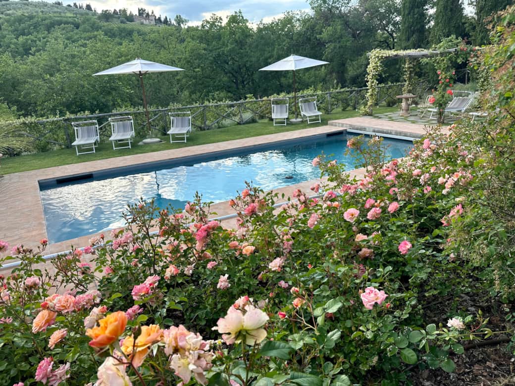 Pool in June