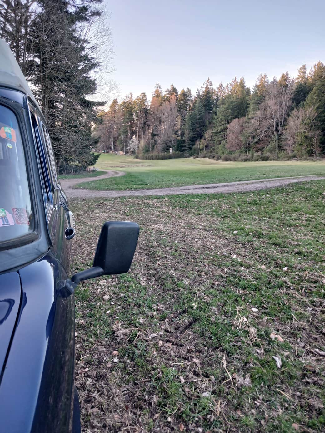 Stellplatz am Waldrand 